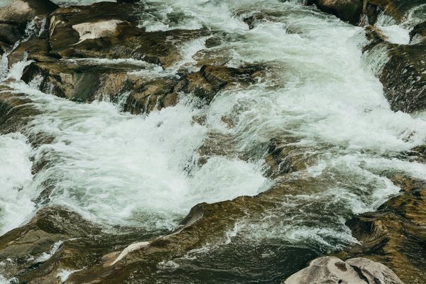 Quels sont les meilleurs itinéraires pour une randonnée dans les montagnes Rocheuses au Canada?